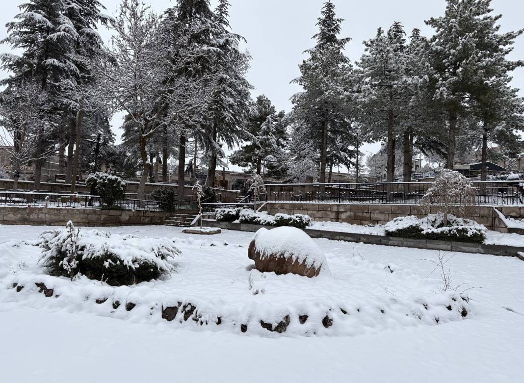 Vatandaş hem sevindi, hem üzüldü! Aksaray'da çiçek açan ağaçlar beyaza büründü 3